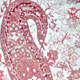 Research on China manufacturers of Knitted Fabric