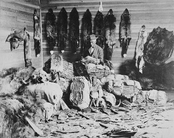 fur trader image