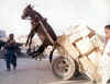 Donkeypullingcart.jpg (70968 bytes) - How not to transport Apparel.  Found on ApparelSearch.com
