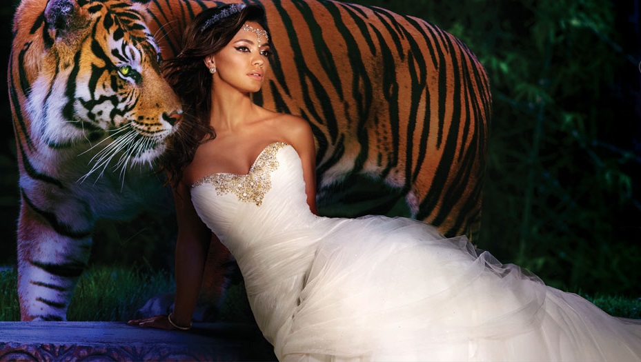 Princess & Tiger Wedding Dress