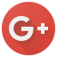 Google + Logo