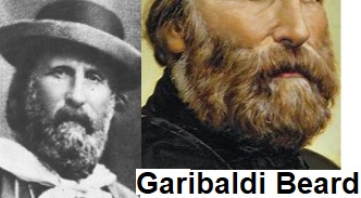 Garibaldi Beard Style
