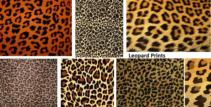 leopard prints