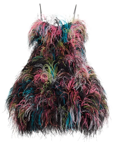 Ostrich Feather Dress