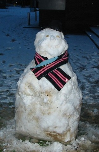 Academic scarf on snowman
