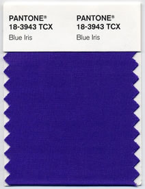 PANTONE 18-3943 BLUE IRIS color 2008