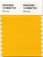 2009 Color of the Year is Mimosa