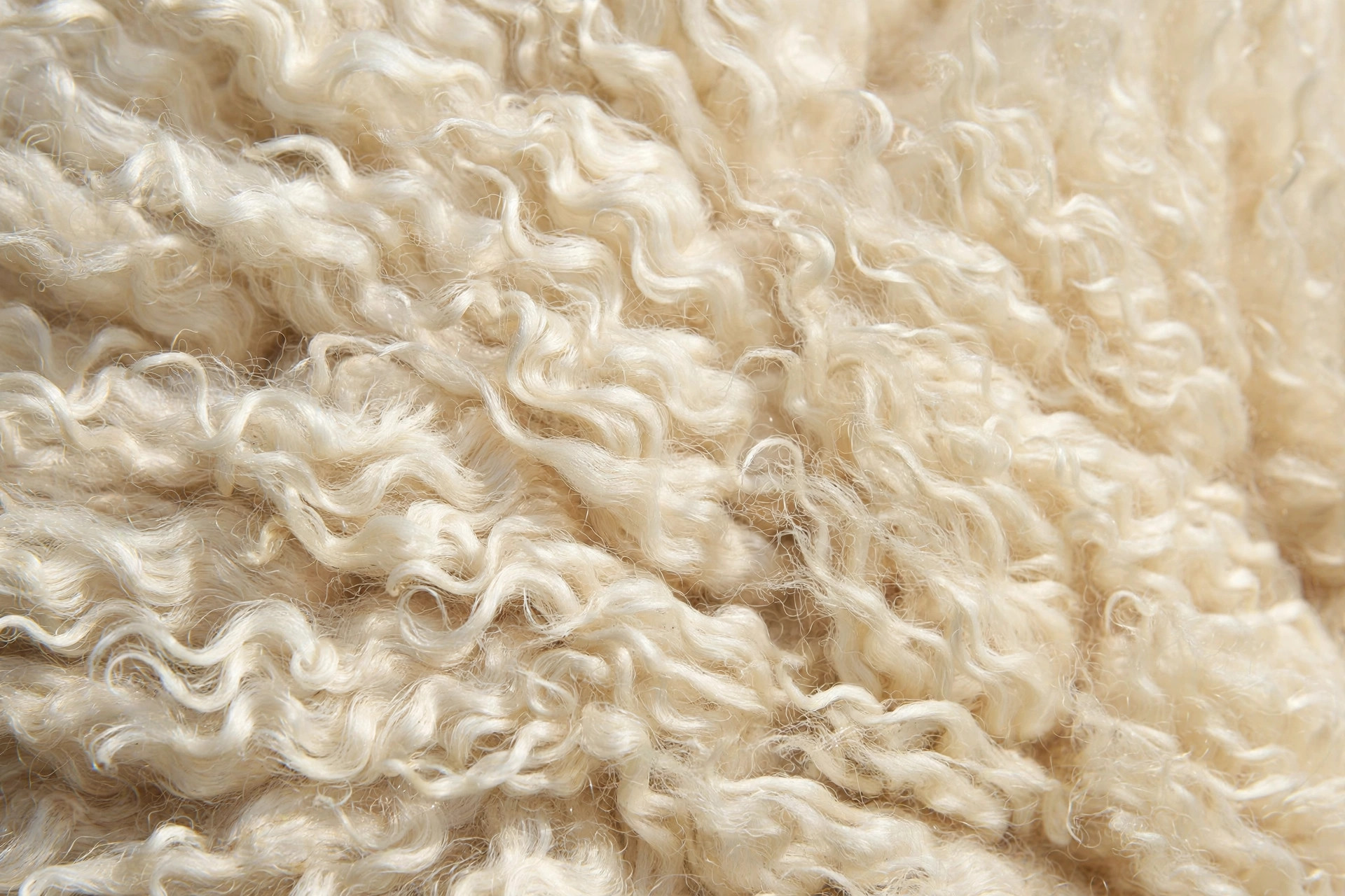 Soft cream merino wool fleece with fine crimped fibers
