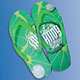 Research on China manufacturers of Slippers