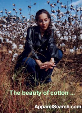 Beauty of Cotton
