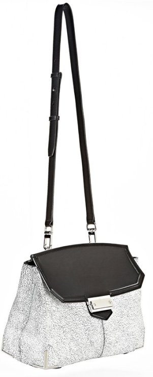 Alexander Wang Handbag News