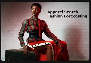 Apparel Search Fashion Forecasting