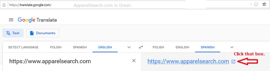 Google Translate Screen Shot