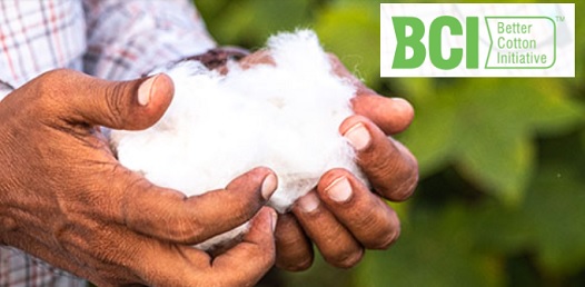 Better Cotton Initiative