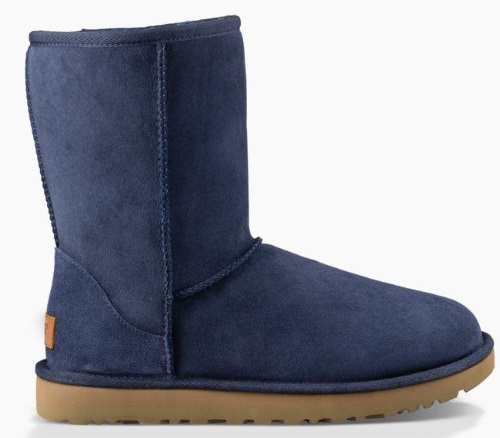 Navy UGGS Boot Color