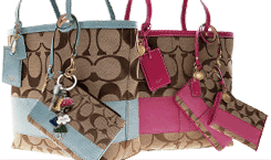 coach bags in fashion article about coach's new signature stripe collection.