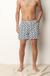 Men's Board Shorts from Lifetime Collective