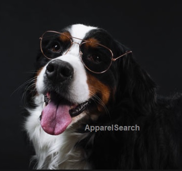 Dog Eyewear Accessories