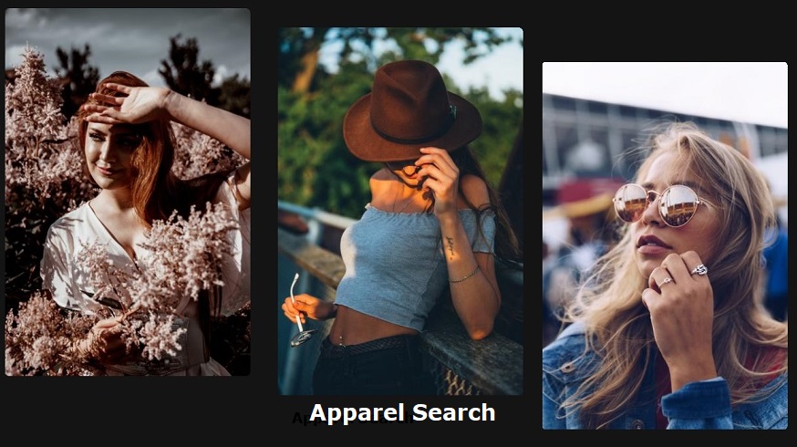 Apparel Search 2020